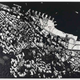 Illustration for article titled These City Maps Are Made Out of Razor Blades and Mirror Shards